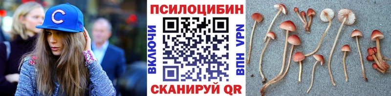 Галлюциногенные грибы мицелий  Владивосток 